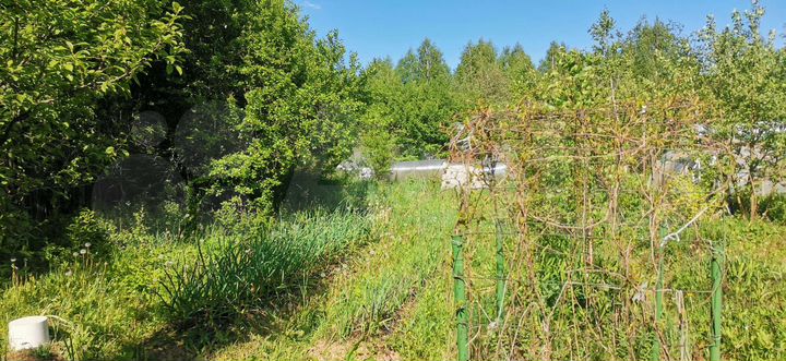 Участок 10 сот. (СНТ, ДНП)