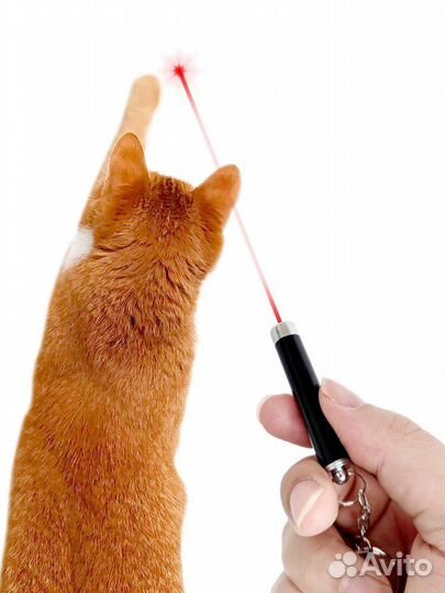 Лазерная указка для кошки