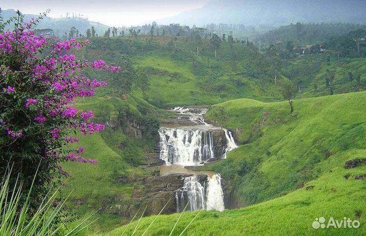 Эксклюзив-тур на Sri Lanky 7 дн