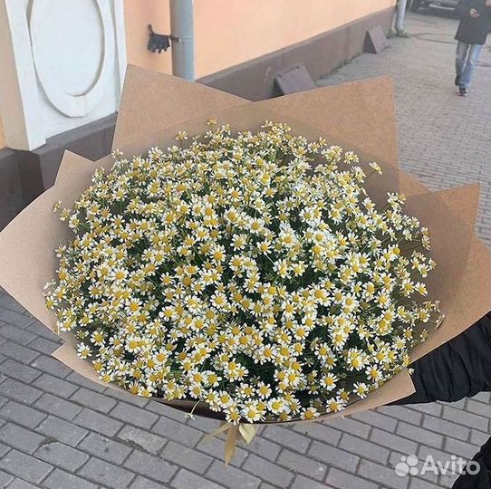 Букеты ромашек