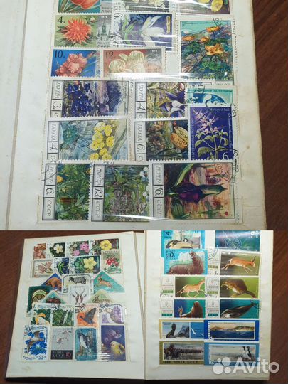 Альбом с марками
