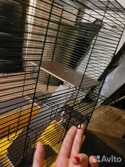 Клетка для грызунов большая