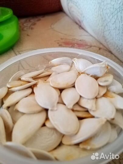 Сушоное лакомство для грызунов