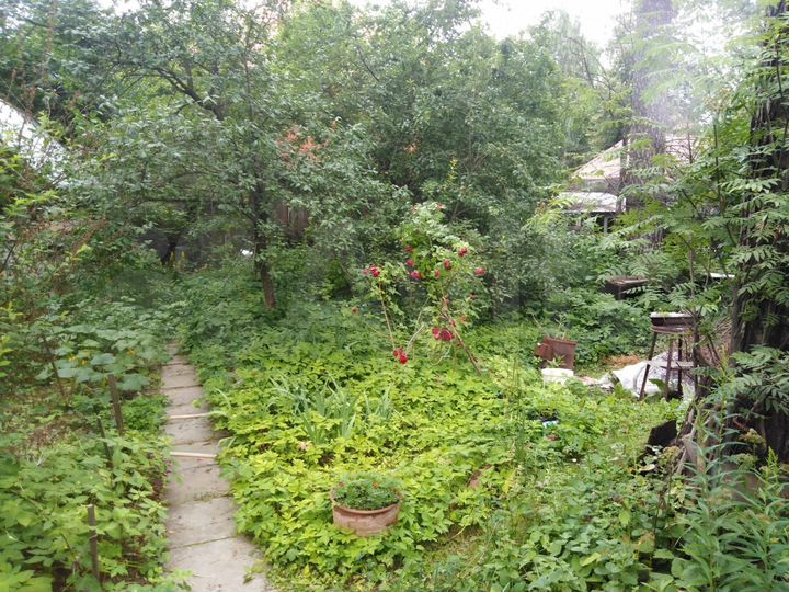 Участок 12 сот. (ИЖС)