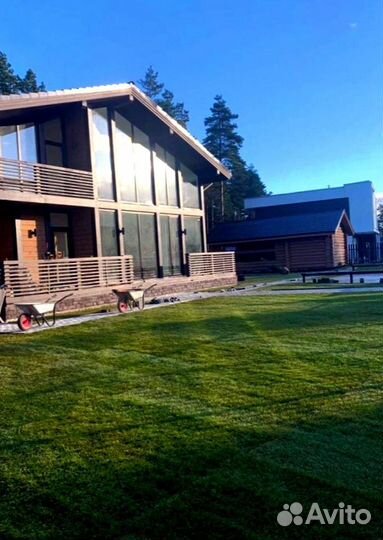 Рулонный газон