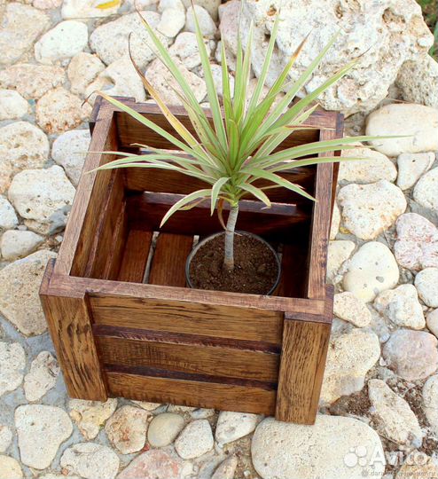 Кашпо для цветов