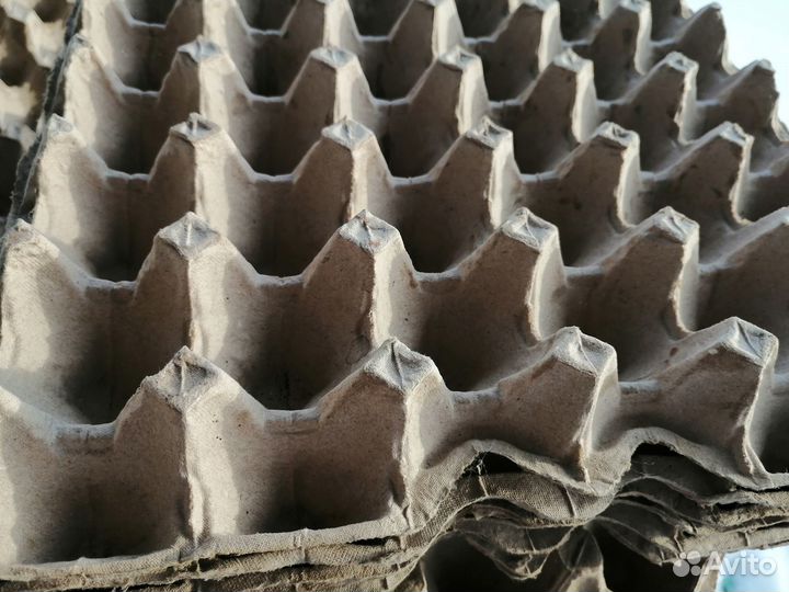 Яичные лотки для