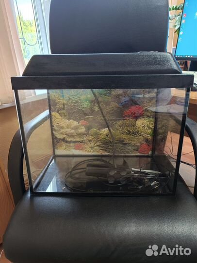 Аквариум с фильтром и светом
