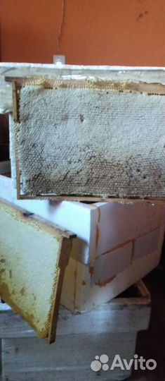 Рамки пчелиные