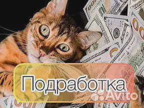 Промоутер ежедневная оплата раздача листовок