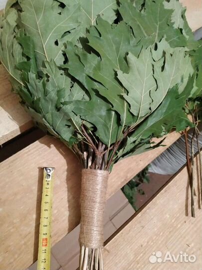 Веник дуб красный (дуб - клён )