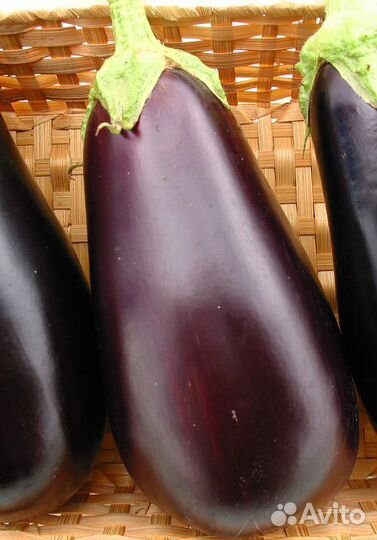 Семена Баклажана 