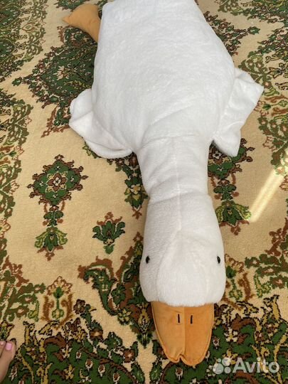 Гусь обнимусь