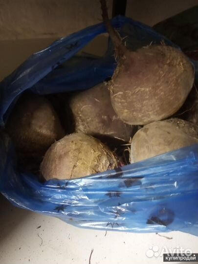 Овощи на корм животным