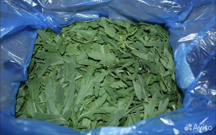 Инвестор Партнер Компаньон в бизнес нужен