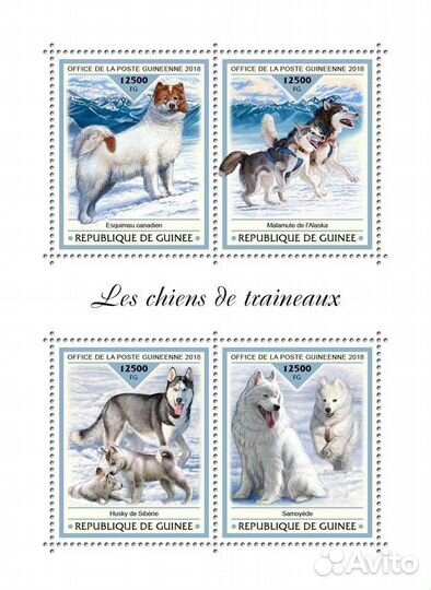 Гвинея, 2018. (gu18417) Фауна, собаки (мл+блок)