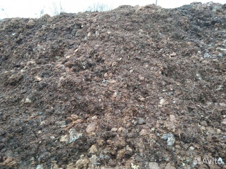 Конский Перегной навоз