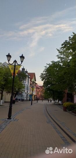 Трансфер, Туризм, Прогулки