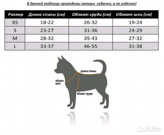 Одежда для собак (xs) одним пакетом