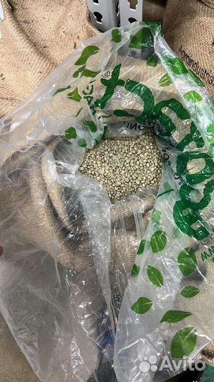 Кофе в зёрнах оптом и в розницу