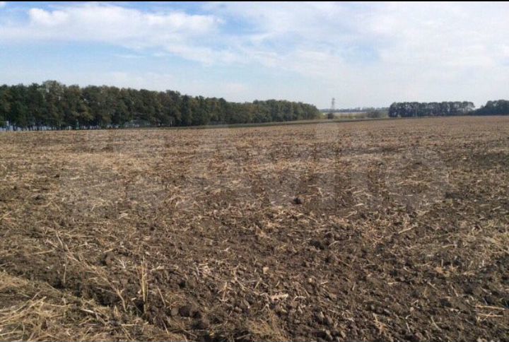 Участок 4,9 га (СНТ, ДНП)