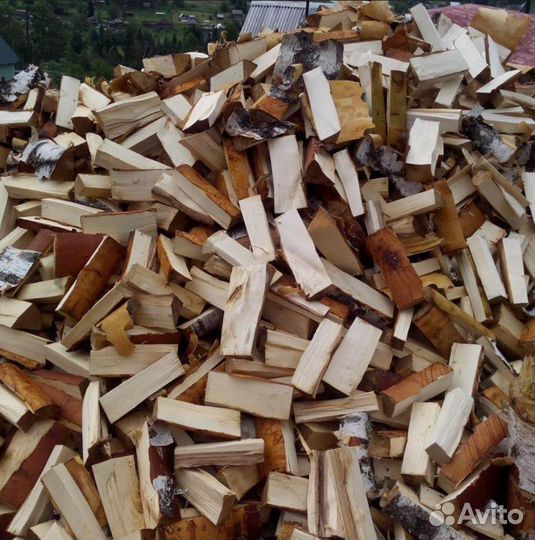 Дрова береза
