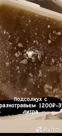 Белгородский мёд,соты,пыльца и прополис