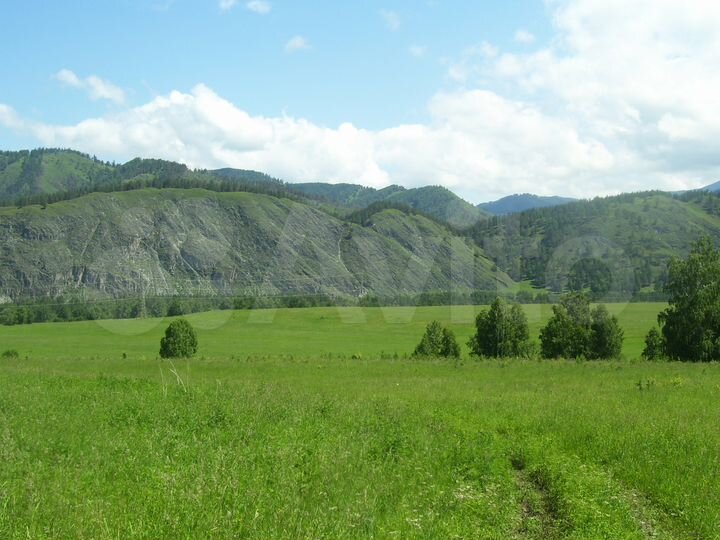 Участок 21 сот. (СНТ, ДНП)