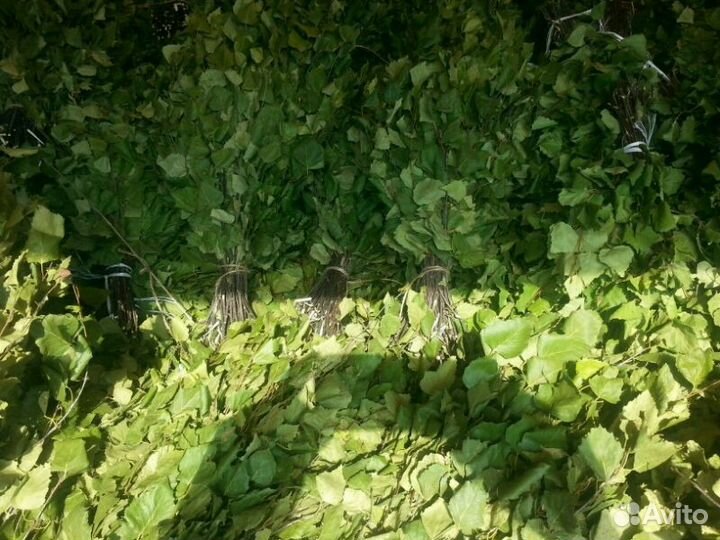 Банные веники