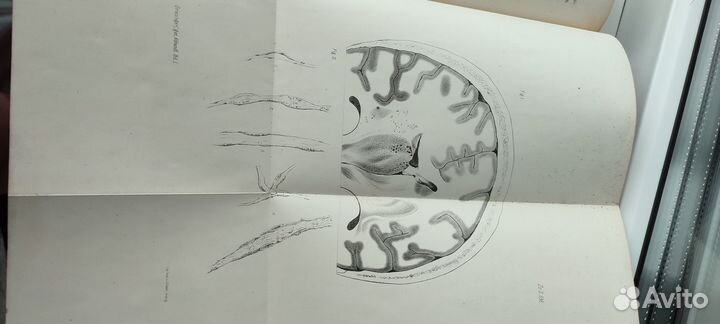 Старые редкие книги