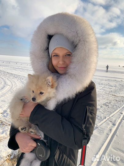 Передержка животных