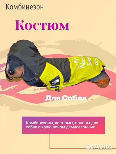 Комбинезоны (костюмы) для собак