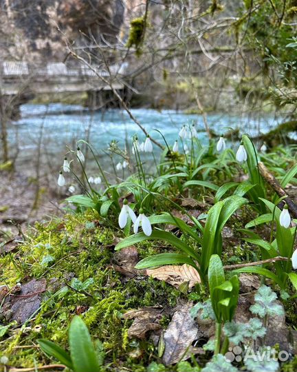 Тур на озеро Рица в мини-группе