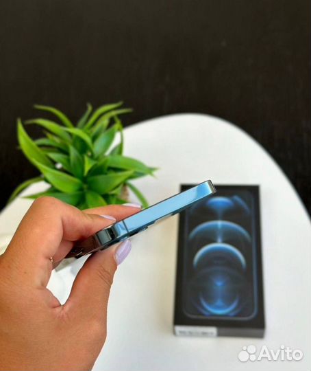 iPhone 12 Pro, 512 ГБ