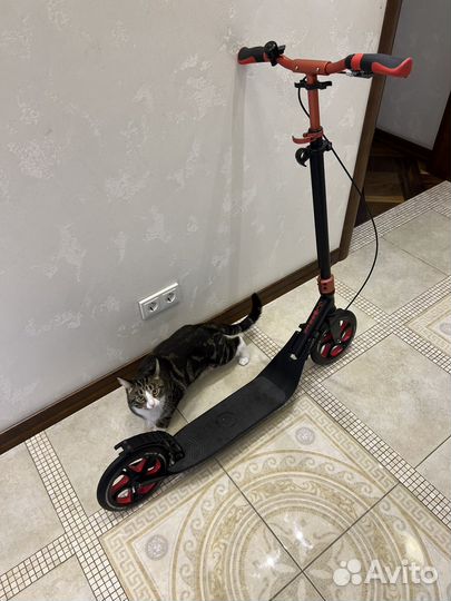 Самокат Globber двухколесный