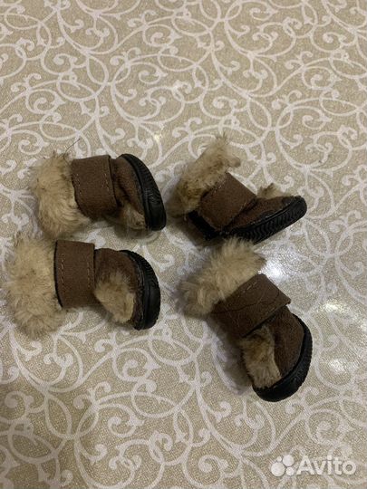 Обувь для маленьких собак