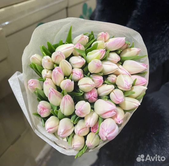 Тюльпаны к 8 марта