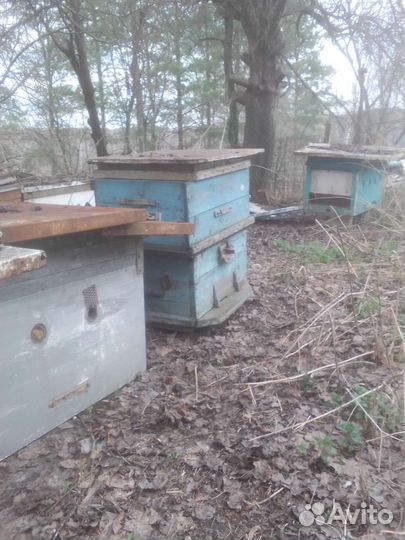 Ульи и другие принадлежности