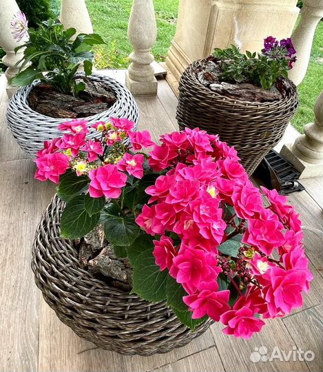 Наикрасивейшие Кашпо для цветов высокое