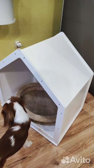 Будка для собаки