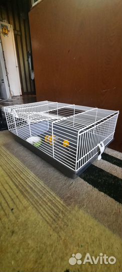 Клетка для грызунов бу