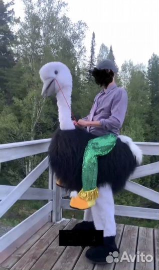 Карнавальный костюм 