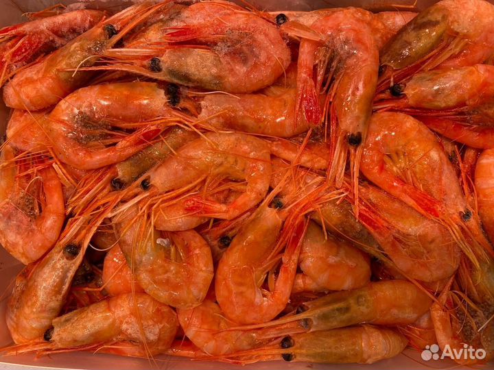 Креветка северная. Свежемороженая оптом