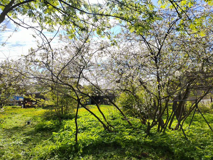 Дом 150 м² на участке 12 сот.