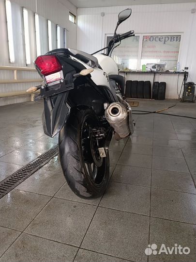 Stels flex 250