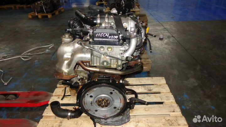 Двигатель (двс) на Nissan Elgrand ZD30ddti