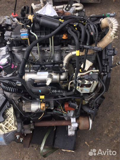 Двигатель Ford Focus Fiesta C-Max 1.6D G8DA