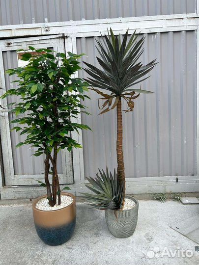 Фикус искусственный