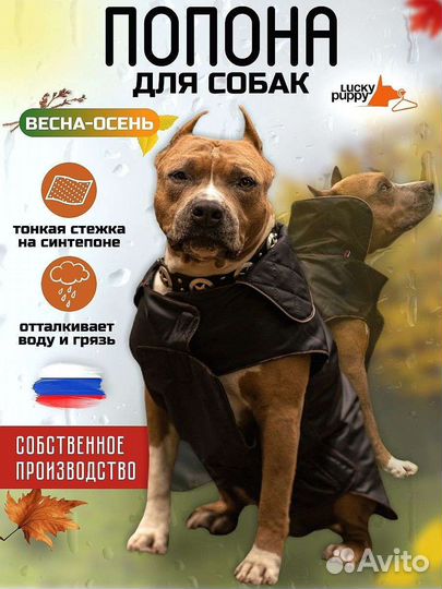 Комбинезон для собак