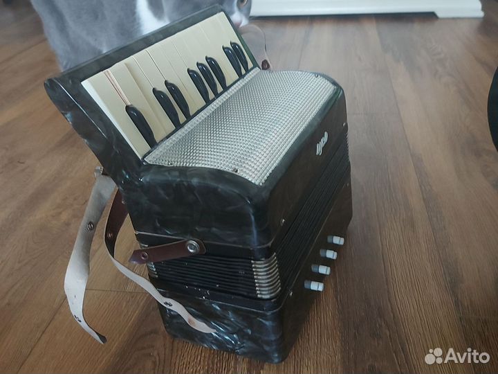 Аккордеон детский Беларусь